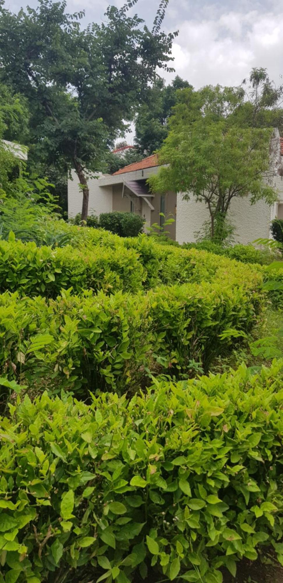 The Meadows Resort And Spa Aurangabad  Ruang foto